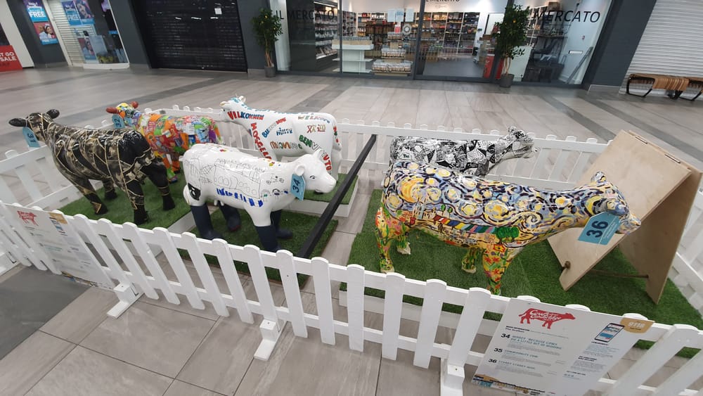 Cambridge cows Cambridge cows