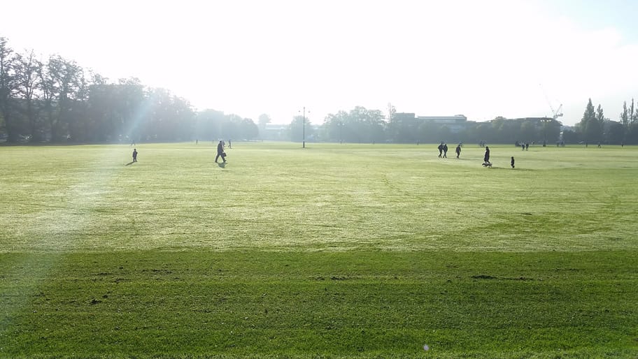 A dewy morning on Parker's Piece