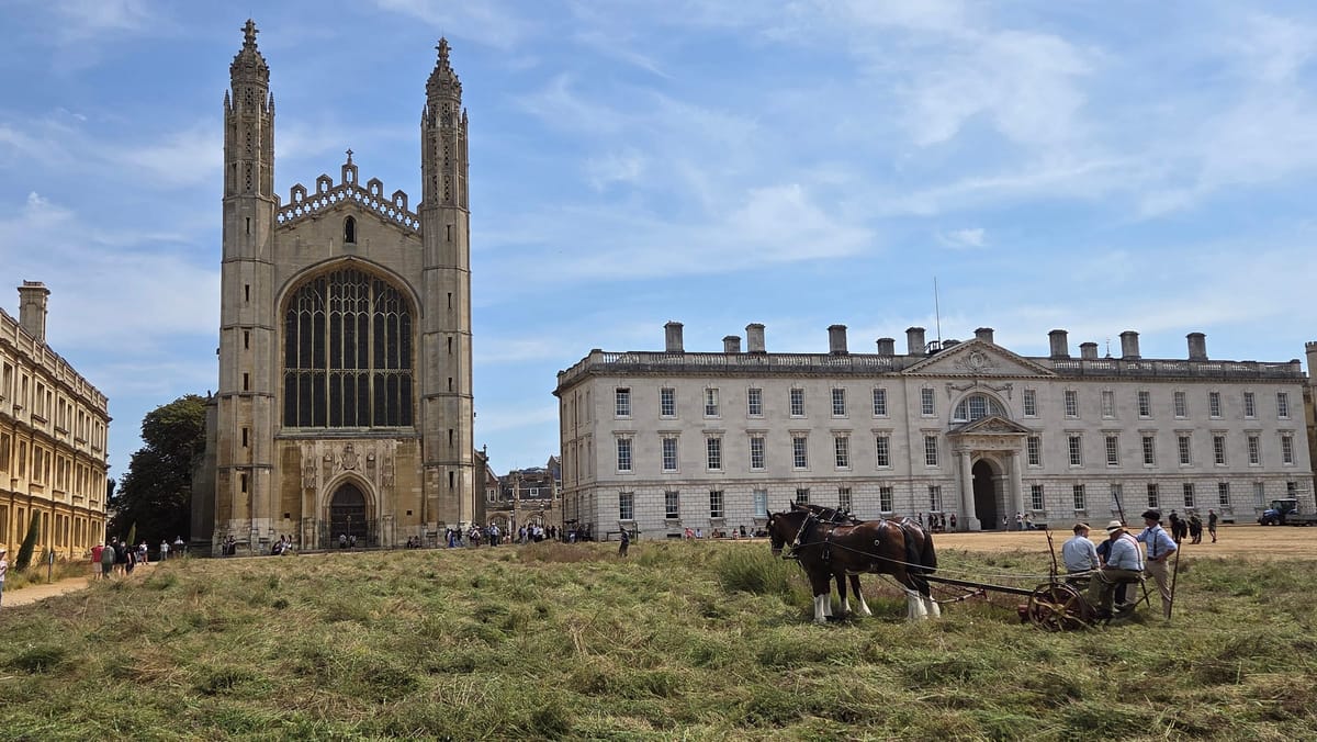 The meadow part cut, with King's College Chapel and the Gibbs Building beyond The meadow part cut, with King's College Chapel and the Gibbs Building beyond