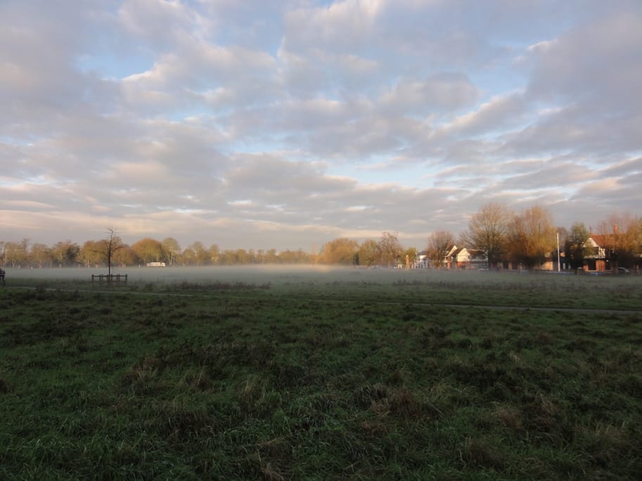 A misty morning on Midsummer Common