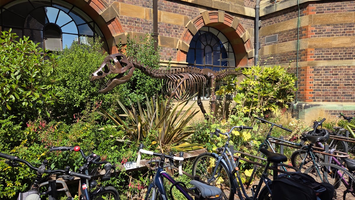 A dinosaur out in the planting, sharing its corner with the bicycles