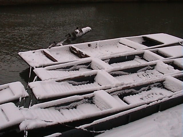 Snowy punts
