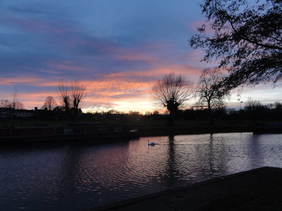 Midsummer Common sunset from the boathouses